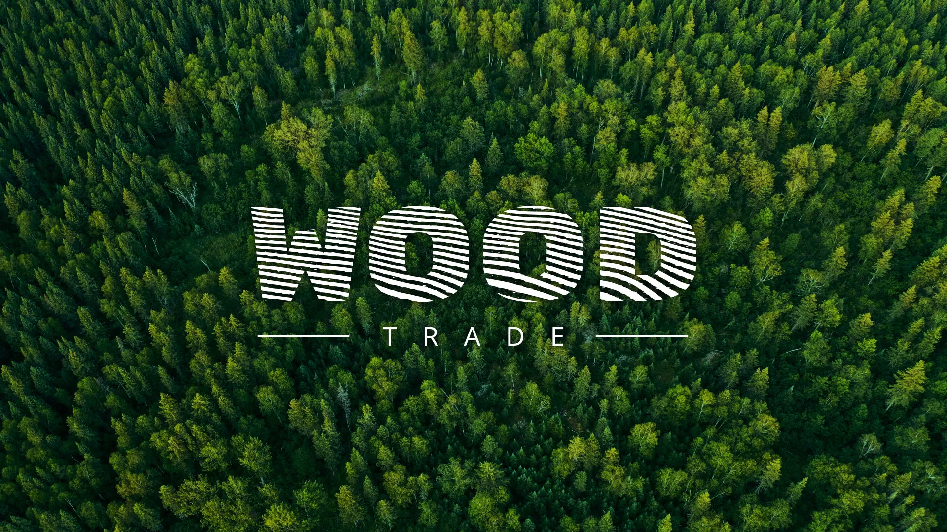 Разработка интернет-магазина компании «Wood Trade» в Ковылкино
